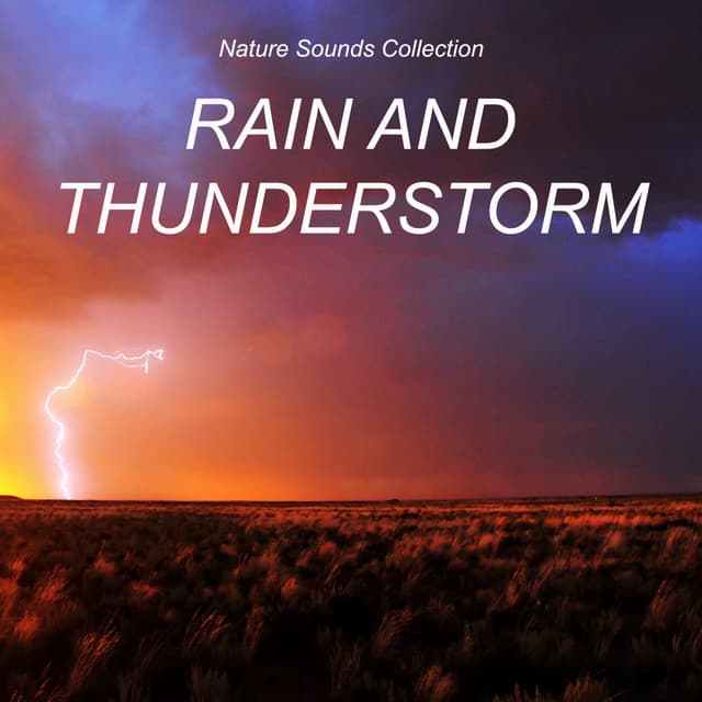 Nature Sounds Collection: Rain and Thunderstorm - Rain Sounds & Nature Sounds