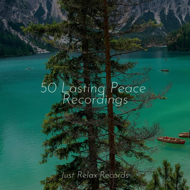 50 Lasting Peace Recordings - Ambient