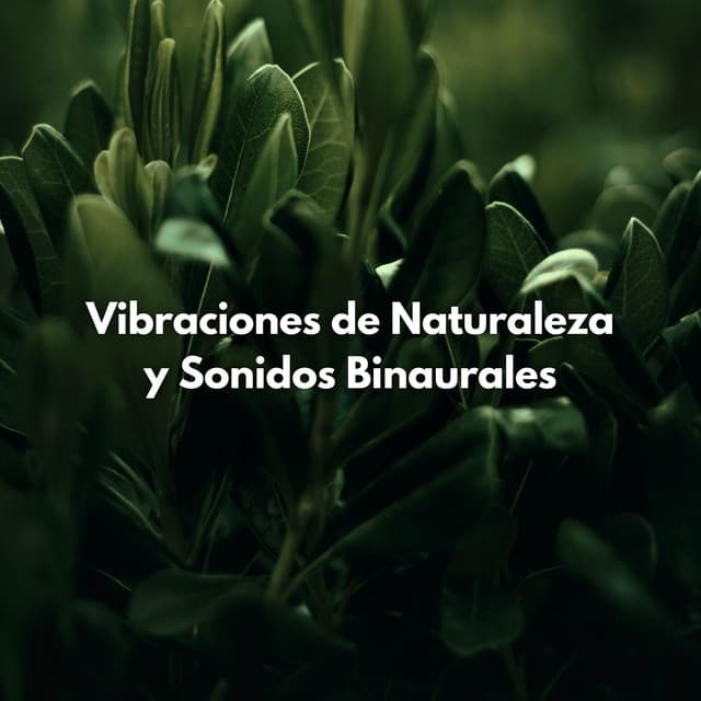 Vibraciones De Naturaleza Y Sonidos Binaurales - Bestia binaural