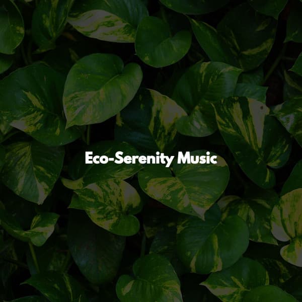 Eco-Serenity Music - Jazz Lounge Bar Radio