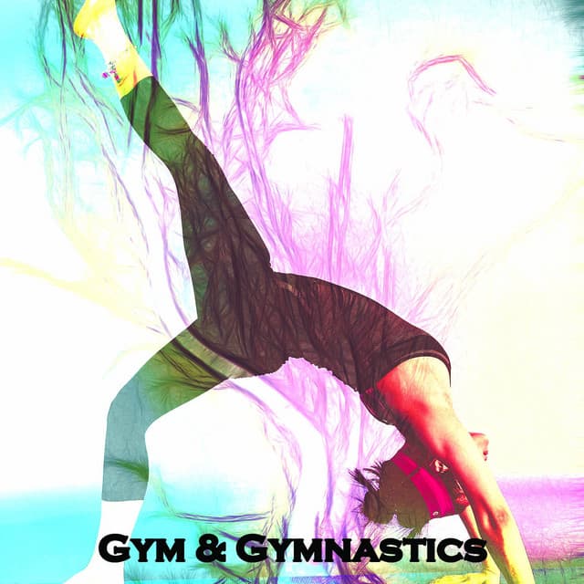 Gym & Gymnastics - The Gym Allstars