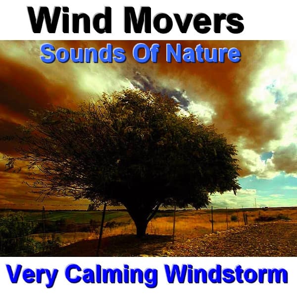 Wind Movers