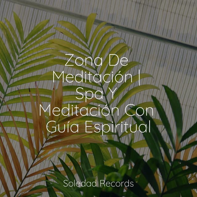 Zona De Meditación | Spa Y Meditación Con Guía Espiritual - Ioga