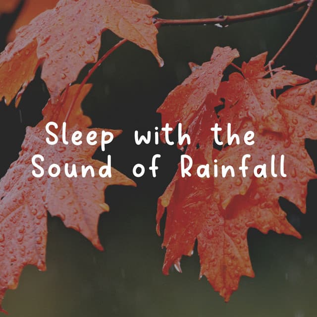 Sleep with the Sound of Rainfall - Rain Storm Sample Library