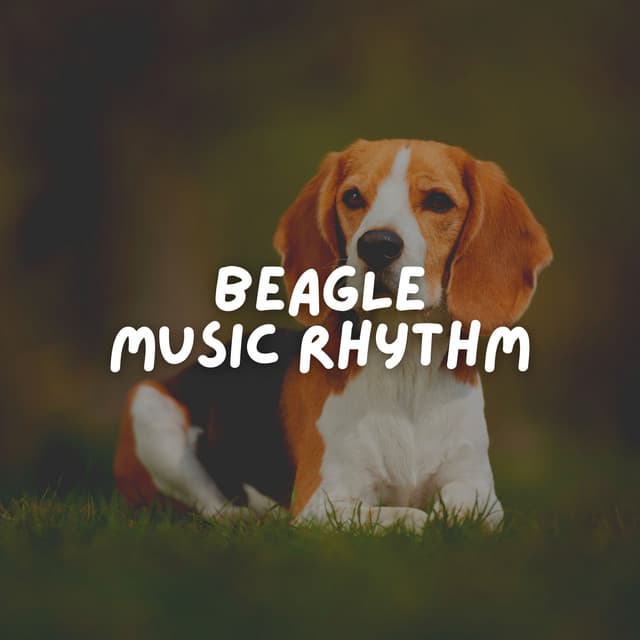 Beagle Music Rhythm - Sleeping Music For Dogs