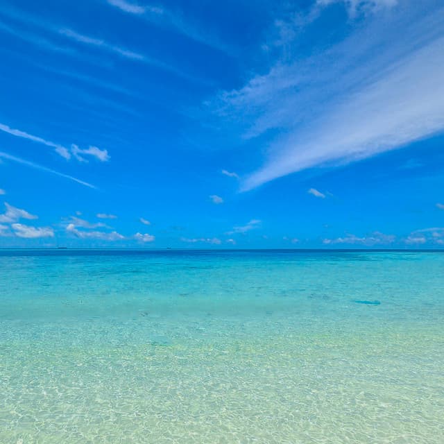 50 Flowing Soundscapes:The Currents Pull - Sea Waves Sounds