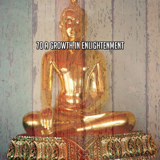 70 A Growth In Enlightenment - Meditation Masters