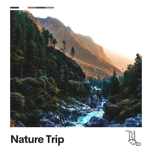 Nature Trip - Babbling Brook