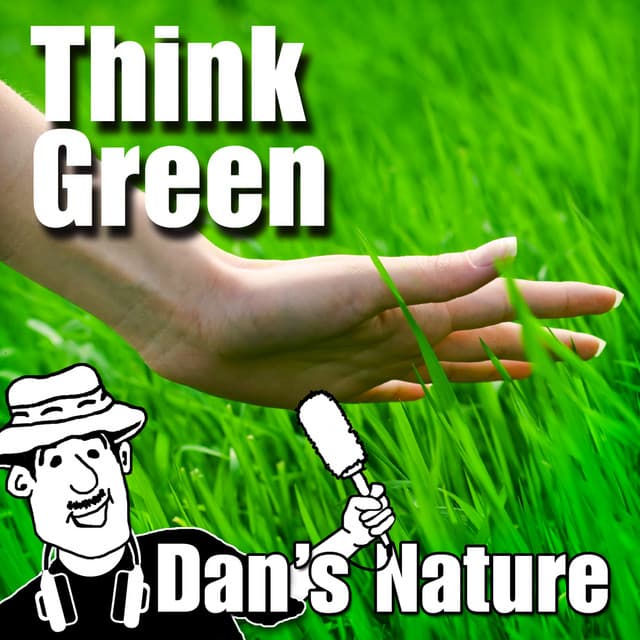 Dan's Nature