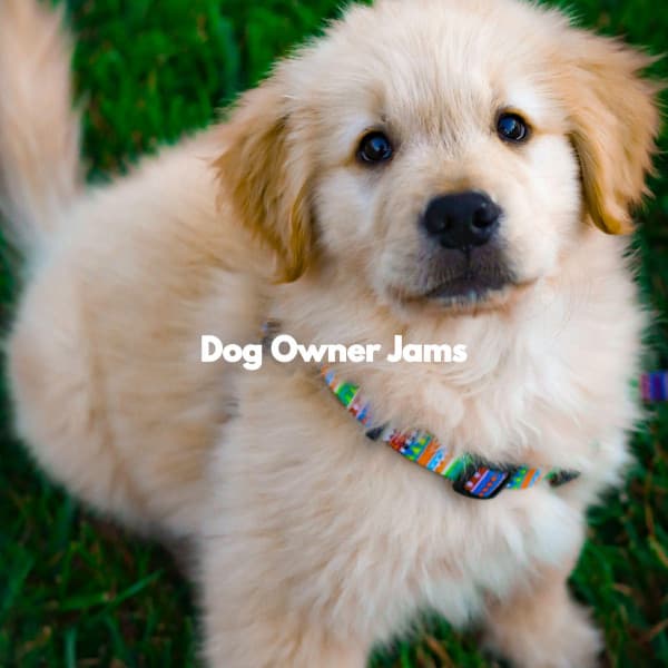 Dog Owner Jams - Relax My Puppy