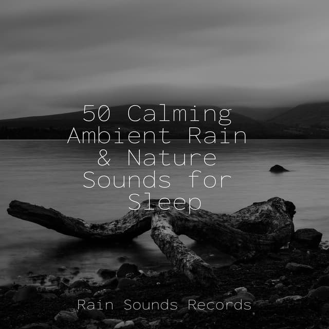 50 Calming Ambient Rain & Nature Sounds for Sleep - Musica Relajante Specialistas & Musica Relajante