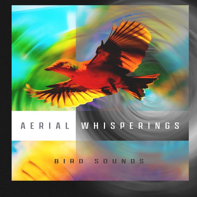 Aerial Whisperings - Bird Sounds