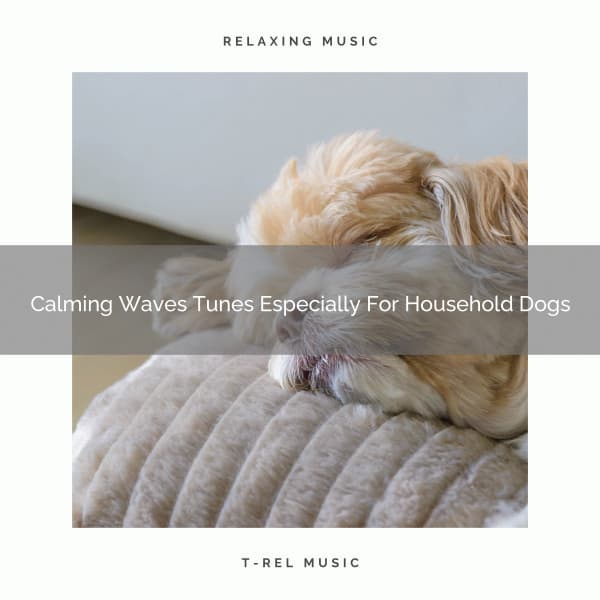 Calming Waves Tunes Especially For Household Dogs - Dog Relax