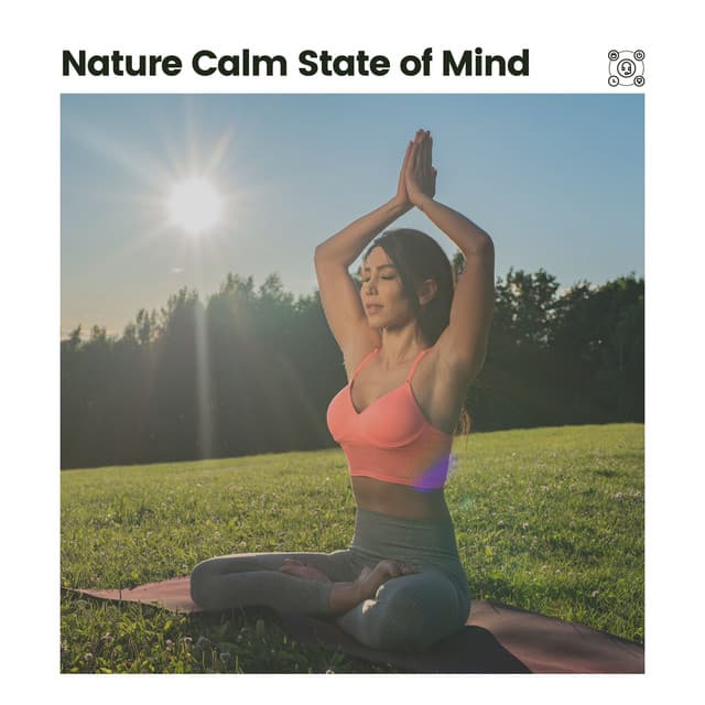 Nature Calm State of Mind - Cricket Sounds