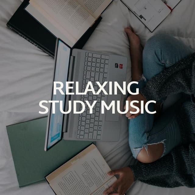 Relaxing Study Music - Focus & Work