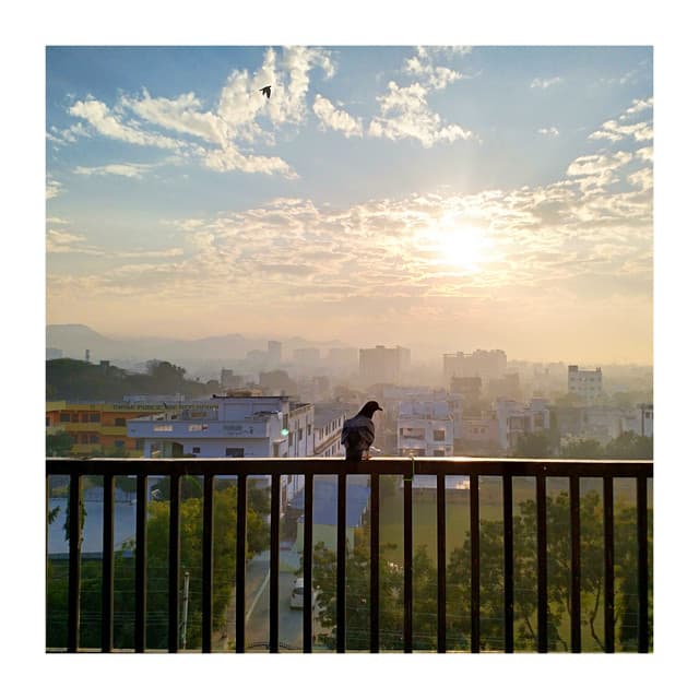 Best City Sounds For Sleeping - Dream Supplier