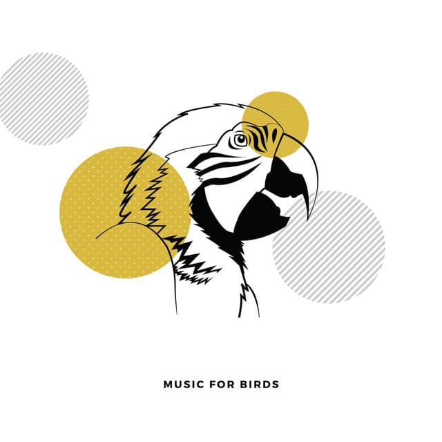 Music For Birds - Relaxing Piano For Pets