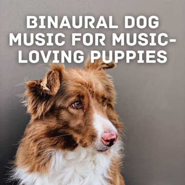 Binaural Dog Music for Music-Loving Puppies - Peaceful Music