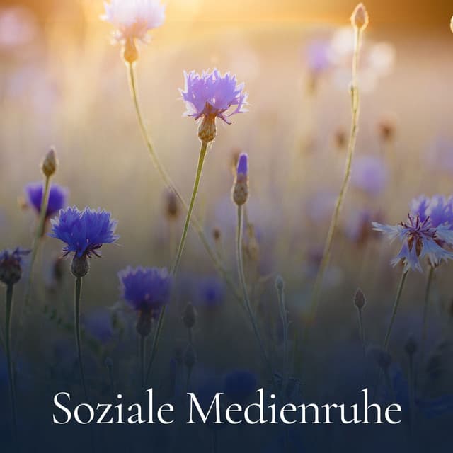 Soziale Medienruhe - Zen Buddhismus Regeneration Sammlung
