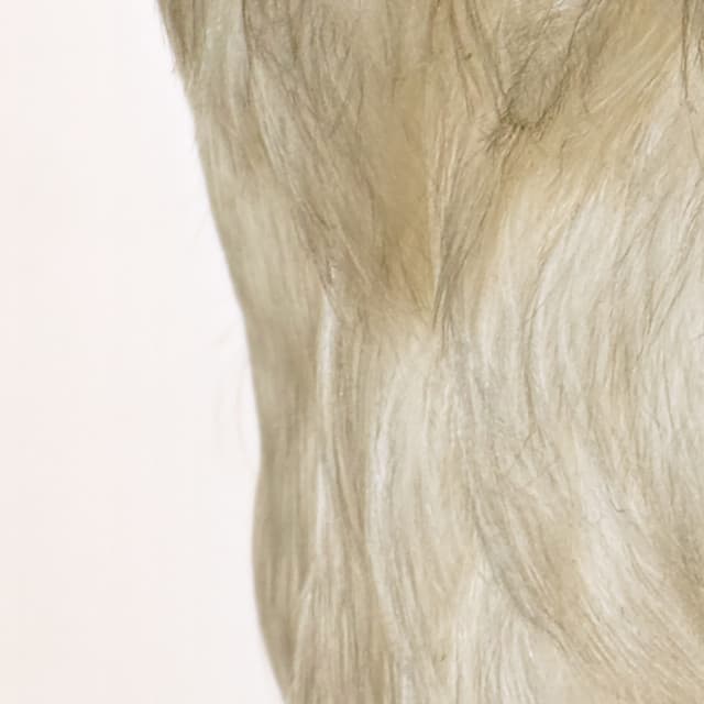 365 Complete Works 26 - Aidan O'Rourke