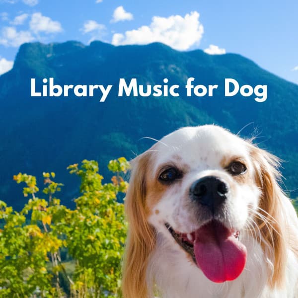 Library Music for Dog - Jazz Radio