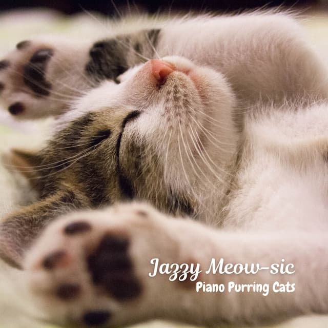 Jazzy Meow-sic: Piano Purring Cats - Slow Jazz