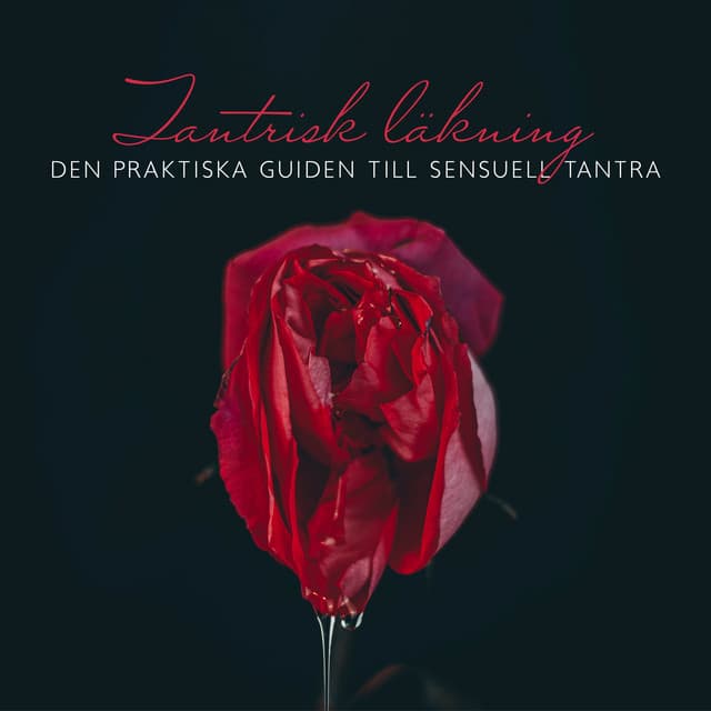 Tantrisk läkning: Den praktiska guiden till sensuell tantra, Skönhets spa salong, Sensuell och känslig avslappning - Helande Instrumentalmusik Akademi