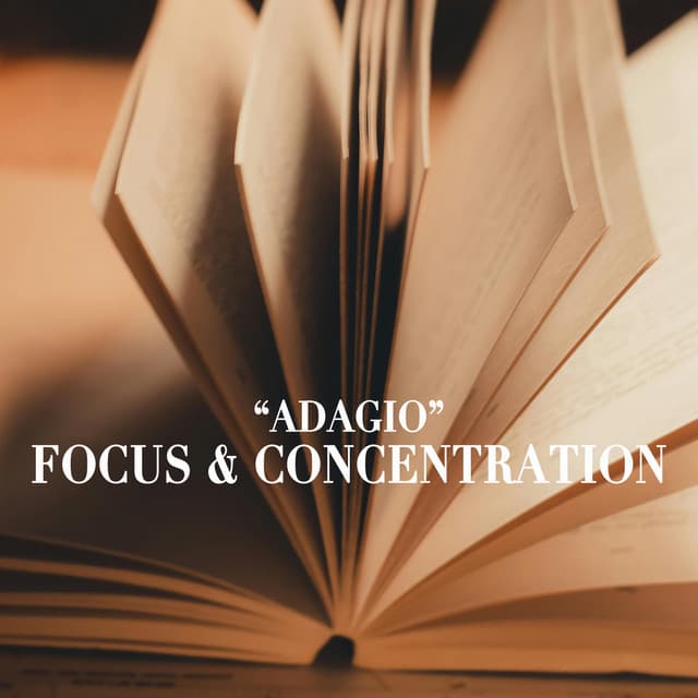 "Adagio" - Focus and Concentration - Johann Sebastian Bach