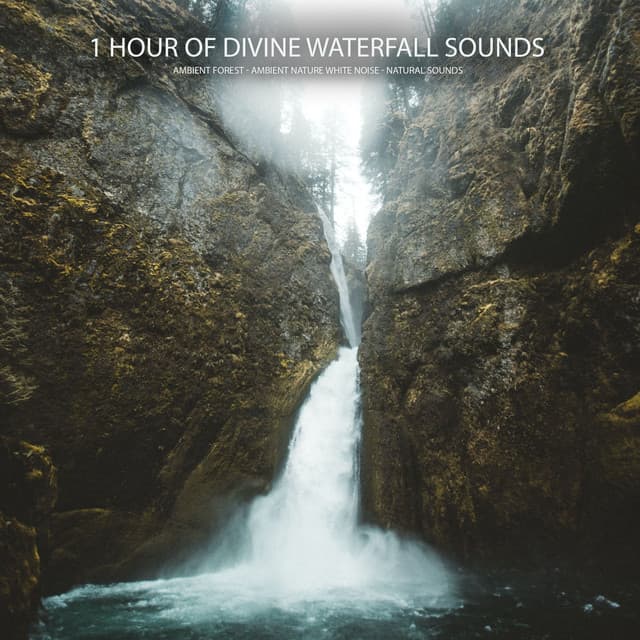 1 Hour of Divine Waterfall Sounds - Ambient Forest