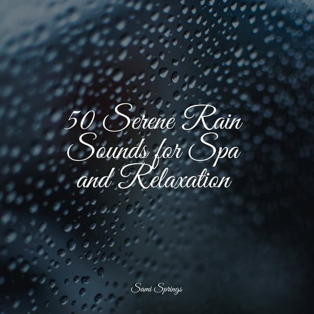 50 Serene Rain Sounds for Spa and Relaxation - Help Me Sleep