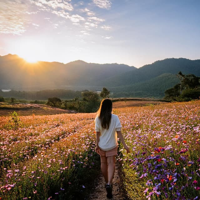 Música instrumental fácil de escuchar