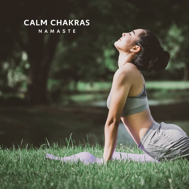 Calm Chakras: Peaceful Yoga Music - Namaste