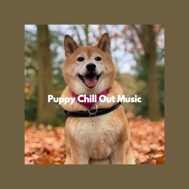 Puppy Chill Out Music - Relaxing Dogs