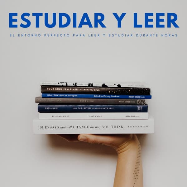 Estudiar Y Leer: El Entorno Perfecto Para Leer Y Estudiar Durante Horas - Música para estudiar duro