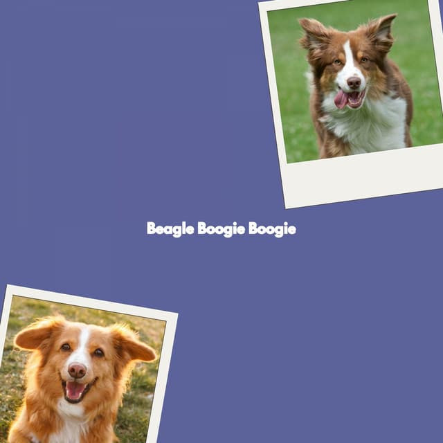 Beagle Boogie Boogie - Jazz Rilassante Primo