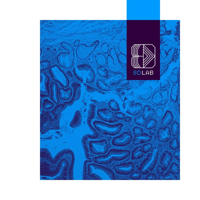 Harmonic Drift - 8D Lab - Relaxing Music