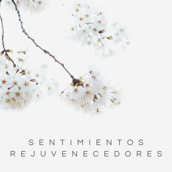 Sentimientos Rejuvenecedores - Ruido De Colores