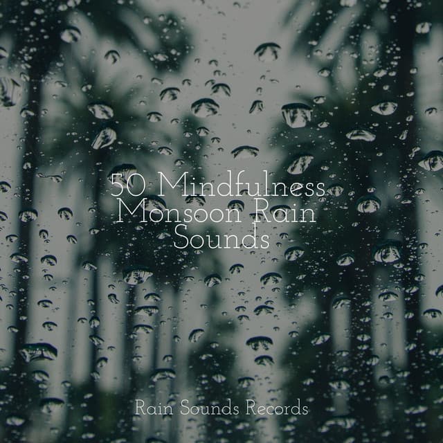 50 Mindfulness Monsoon Rain Sounds - Ambiente