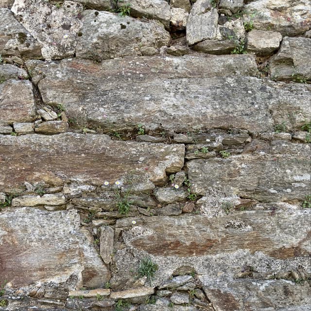 A Spontaneous Breaking of Symmetry I. - Armen Nalbandian