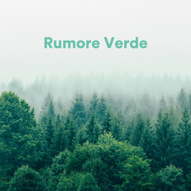 Rumore Verde - Rumore Bianco