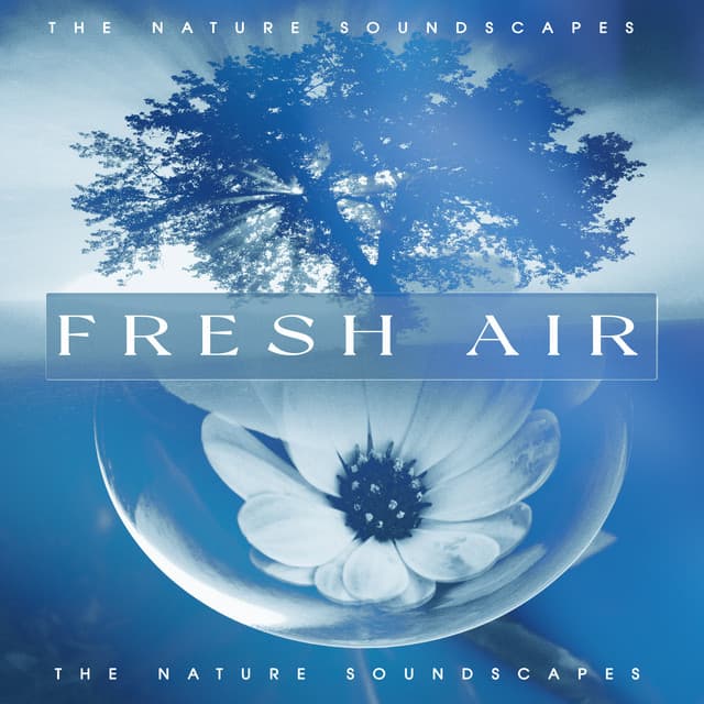 Fresh Air - The Nature Soundscapes