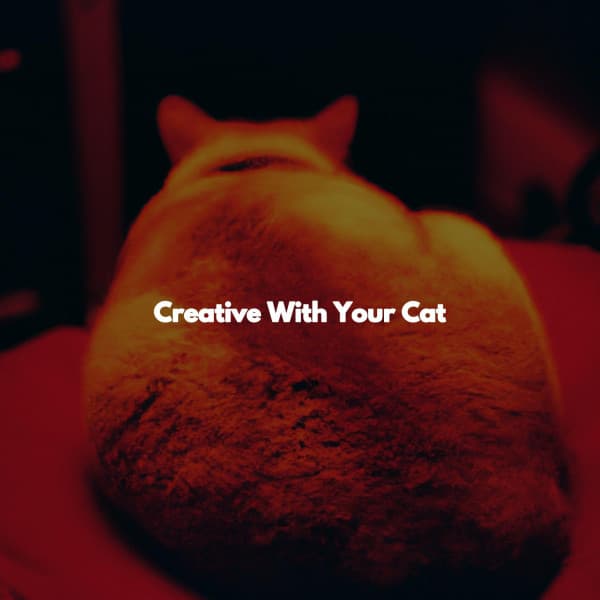 Creative With Your Cat - Downtempo Jazz Beats