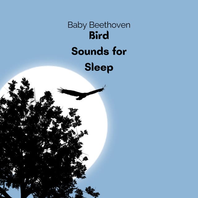 Bird Sounds for Sleeping - Natural Sounds