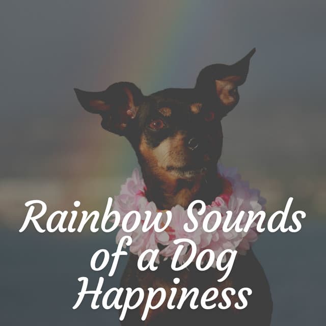 Rainbow Sounds of a Dog Happiness - Music for Sleeping Puppies