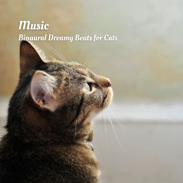 Music: Binaural Dreamy Beats for Cats - Sleepy Cats