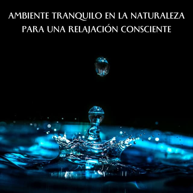 Ambiente Tranquilo En La Naturaleza Para Una Relajación Consciente - Naturaleza nativa americana