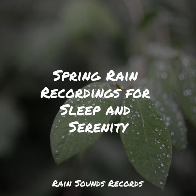 Spring Rain Recordings for Sleep and Serenity - Musica Para Estudiar Academy