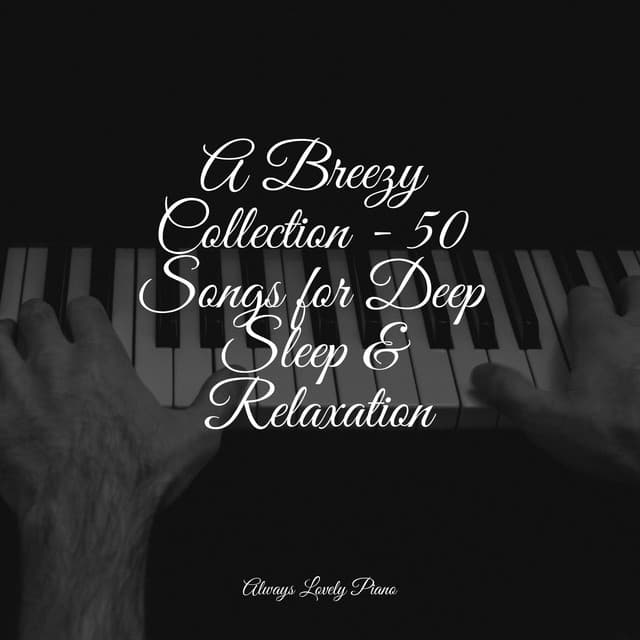 Mindful Living Melodies | Serene and Focused Study Sessions - Relaxar Piano Musicas Coleção