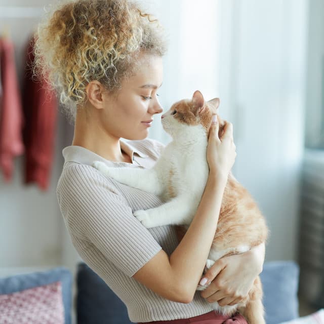 Pet's Zen Retreat with Lofi Soundscapes - LOFI