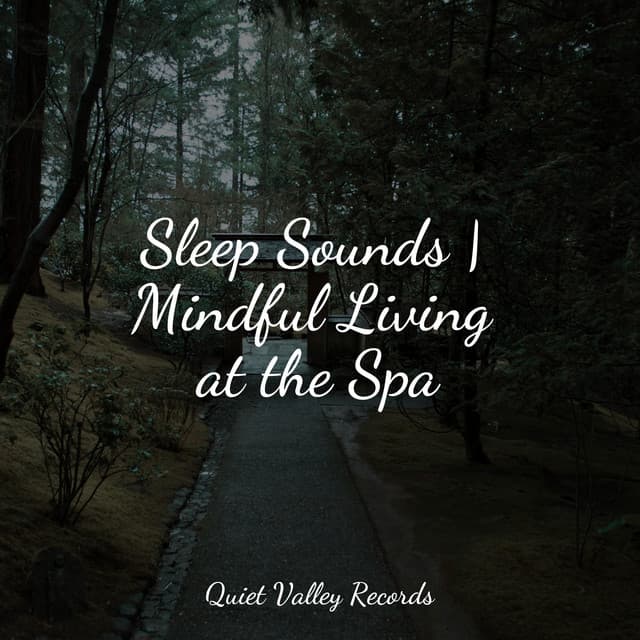 Sleep Sounds | Mindful Living at the Spa - Sleep Rain